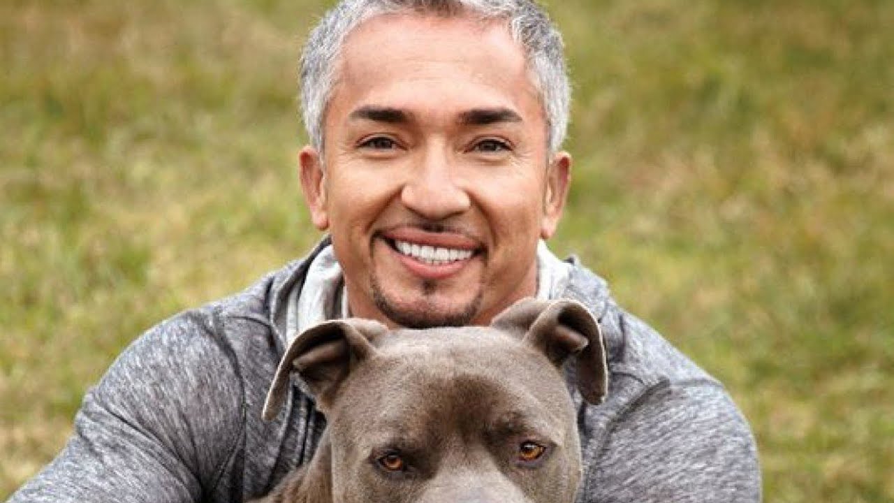 dog whisperer