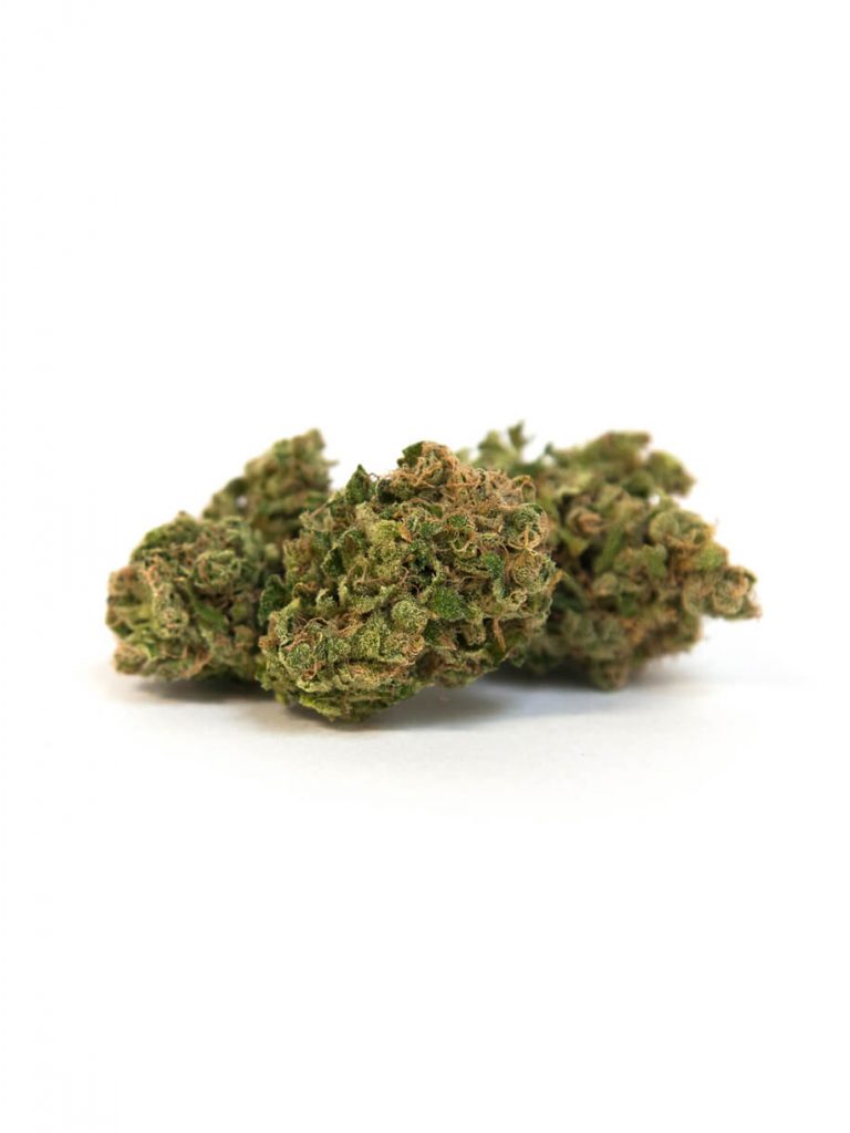 cannabis dispensary
