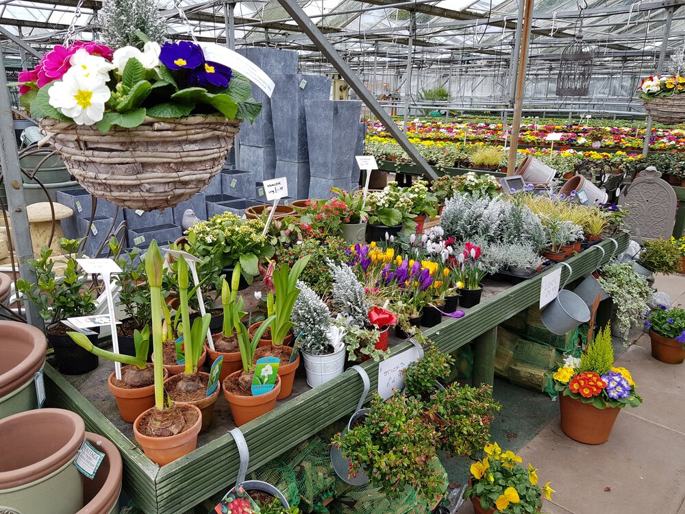 Ideas for a Garden Center Outlet Summer Wedding Celebration