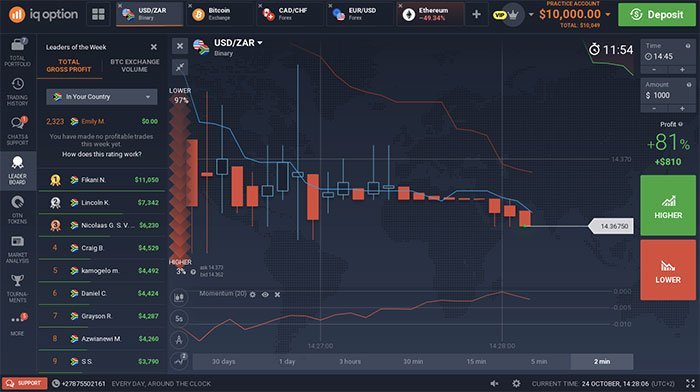 iq OPTIONS