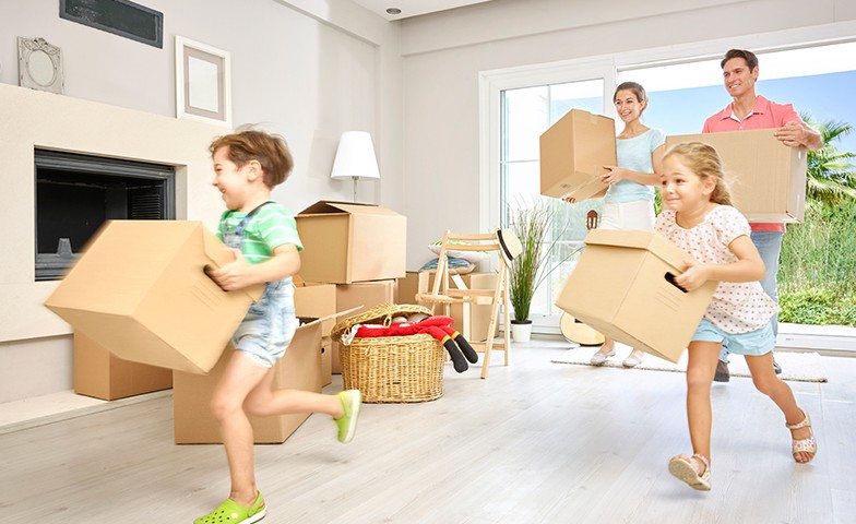 House Removal