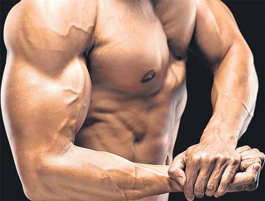 Energy and Muscle Gaining Steroids