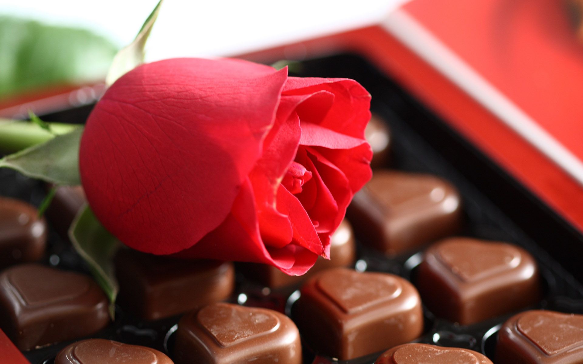 christmas chocolate