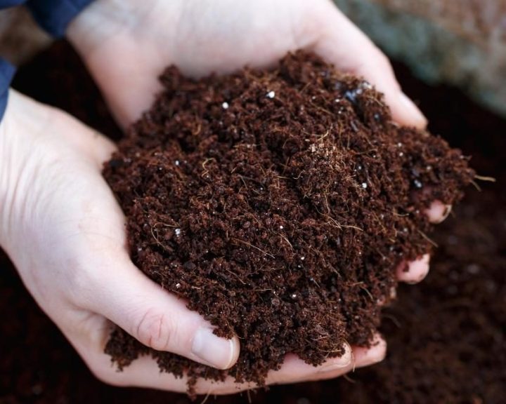 Organic fertiliser singapore