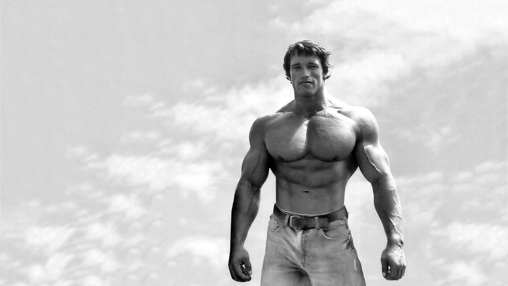 Muscle Building