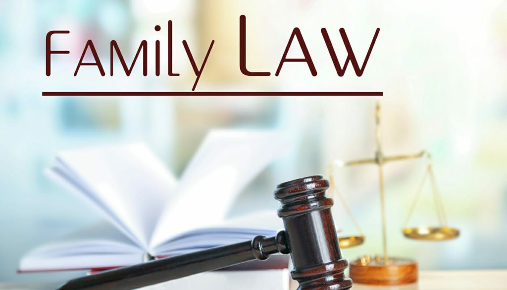 Family Lawyer