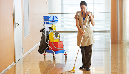 Professional House Manager